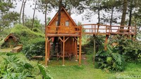 Di tempat ini, traveller bisa bermalam di rumah pohon lho!