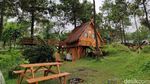 Liburan ke Garut? Yuk Coba Ngecamp di Kaki Gunung Papandayan