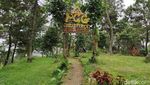 Liburan ke Garut? Yuk Coba Ngecamp di Kaki Gunung Papandayan