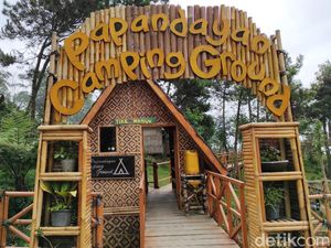 Papandayan Camping Ground, Tempat Ngecamp Asyik di Garut