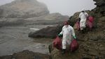 Perjuangan Bersihkan Laut Peru dari Minyak Imbas Bencana di Tonga