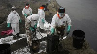 Peru mengumumkan keadaan darurat lingkungan pada Kamis setelah mengumumkan bahwa 21 pantai di pantai Pasifik terkontaminasi oleh tumpahan minyak di kilang yang dikelola oleh Repsol yang berbasis di Spanyol.