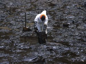 Perjuangan Bersihkan Laut Peru dari Minyak Imbas Bencana di Tonga
