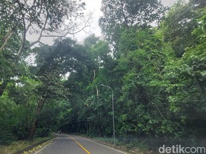 PJU di Kawasan Geopark Ciletuh Mati, Rawan Kecelakaan-Kejahatan