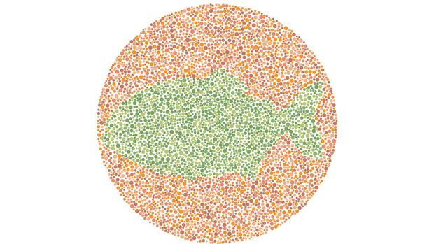 tes buta warna tes buta warna