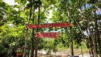 Dari Pusat Kota Yogyakarta, jarak yang harus ditempuh untuk menuju ke sini berkisar 30 km atau 1 jam perjalanan menggunakan kendaraan bermotor. 