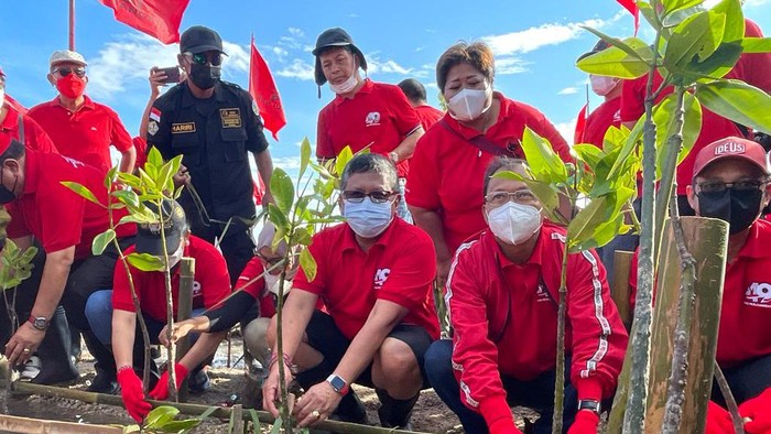 Aksi tanam pohon kader PDIP sebagai kado untuk Megawati