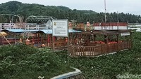 Para pedagang dan pemilik kapal mengeluhkan eceng gondok yang tumbuh seperti lapangan bola tersebut.
