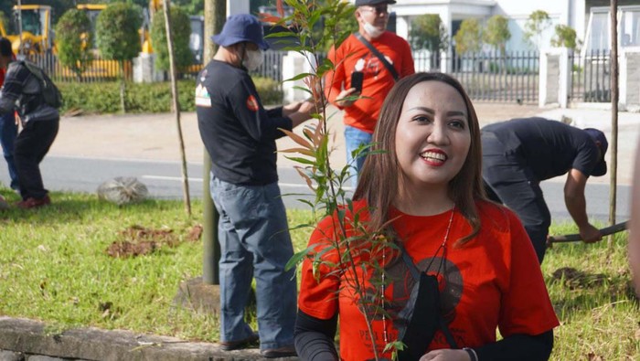 PDIP melakukan penanaman pohon di Bali. Kegiatan ini dalam rangka HUT PDIP Ke-49.