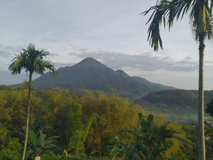 8 Hotel di Mojokerto, View Kamarnya Keren-keren