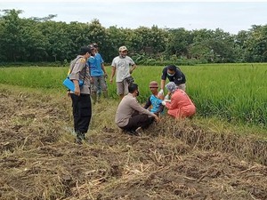 Kejar Percepatan Vaksinasi COVID-19, Polisi di Ponorogo Turun ke Sawah
