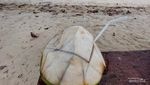 Serasa Punya Pantai Pribadi di Anambas