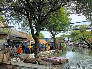 Curah Hujan Tinggi-Air Rob Jadi Alasan Banjir di Tegal Alur Sulit Surut