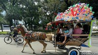 Untuk menaiki kuda delman dan mengelilingi Jalan Medan Merdeka, warga dipatok harga Rp 200 ribu.