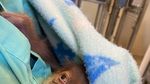 Laktasi Induk Bermasalah, Bayi Orangutan Ini Nyusu Botol