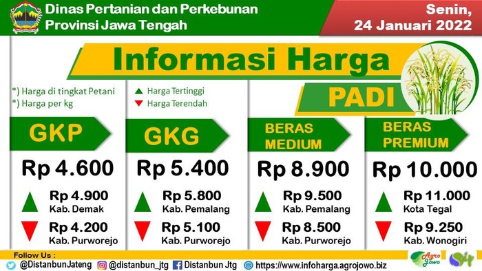 Daftar harga beras hingga cabai di Jateng, Senin (24/1/2022).