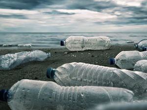 Pertama Kalinya! Mikroplastik Ditemukan di Pembuluh Darah Manusia