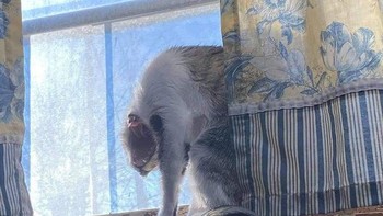 Ada yang aneh? Foto: reddit.com/confusing_perspective