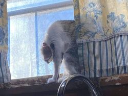 Tidak Hanya Mengecoh, Foto Ini Bikin Bingung Mata