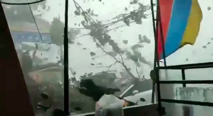 Hujan disertai angin kencang terjadi di Kabupaten Bogor. Akibatnya, dahan-dahan pohon di sekitar tumbang mengenai salah satu mobil dan kabel listrik. (Screenshot video viral)