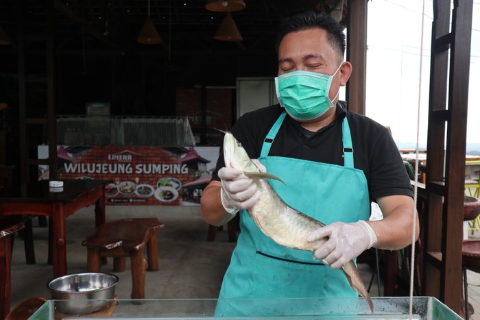 Ikan arwana sambal pecak Ikan arwana sambal pecak