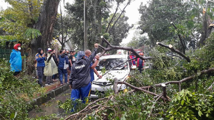 Kondisi Jalan Sholeh Iskandar setelah pepohonan tumbang di Kota Bogor, Senin (24/1/2022)