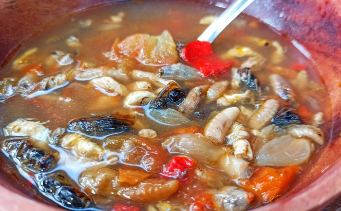 Kuliner Ekstrem Sup Tawon Khas Banyuwangi