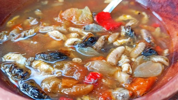 Kuliner Ekstrem Sup Tawon Khas Banyuwangi