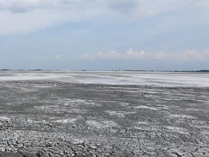 Mengenal Logam Tanah Jarang, si Harta Karun Lumpur Lapindo