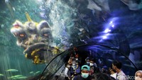 Pertunjukan tersebut dapat dinikmati secara langsung pada tanggal 29 Januari - 1 Februari 2022.