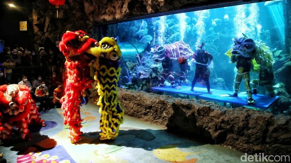Pertunjukan ini merupakan rangkaian dari Ancol Lunar Festival yang diangkat oleh Taman Impian Jaya Ancol untuk memeriahkan Tahun Baru Imlek 2022 ini. Pertunjukan ini merupakan rangkaian dari Ancol Lunar Festival yang diangkat oleh Taman Impian Jaya Ancol untuk memeriahkan Tahun Baru Imlek 2022 ini.