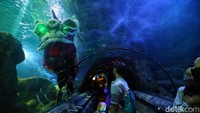 Barongsai underwater show ditampilkan di akuarium utama Sea World Ancol.