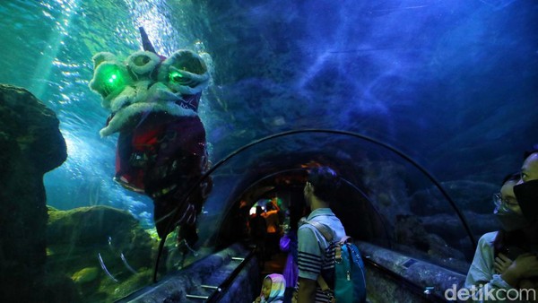 Barongsai underwater show ditampilkan di akuarium utama Sea World Ancol.