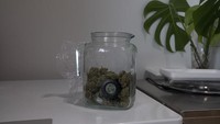 Diketahui, Malta menjadi negara pertama di Uni Eropa yang melegalkan penanaman dan penggunaan ganja untuk keperluan pribadi.