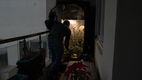 Melansir Getty Images, UU tersebut memungkinkan warga Malta untuk memiliki ganja maksimal seberat 7 gram, serta diizinkan untuk menanam empat tanaman ganja per pengguna dengan batasan usia 18 tahun atau lebih.