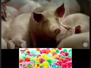 Hoaks Permen Yupi Terbuat dari Kulit Babi hingga Atraksi Api Saat Masak Kwetiau