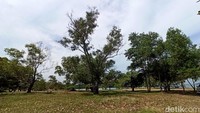 Berdasarkan pantauan detikcom, lokasi calon pelabuhan baru Batam ini masih berupa hamparan tanah dengan ditumbuhi sejumlah pohon.
