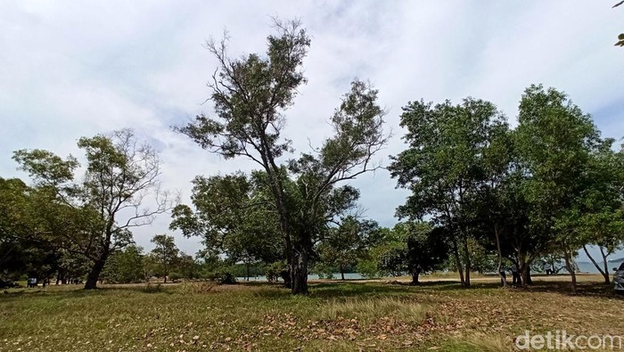 Kota Batam bakal punya pelabuhan baru. Pelabuhan baru ini akan dibangun di kawasan Tanjung Pinggir, Kecamatan Sekupang, Kota Batam. Seperti apa kondisinya?