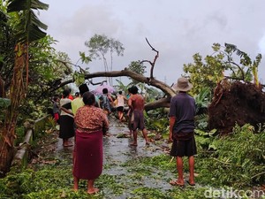 Angin Kencang Porak-porandakan Dua Desa di Probolinggo