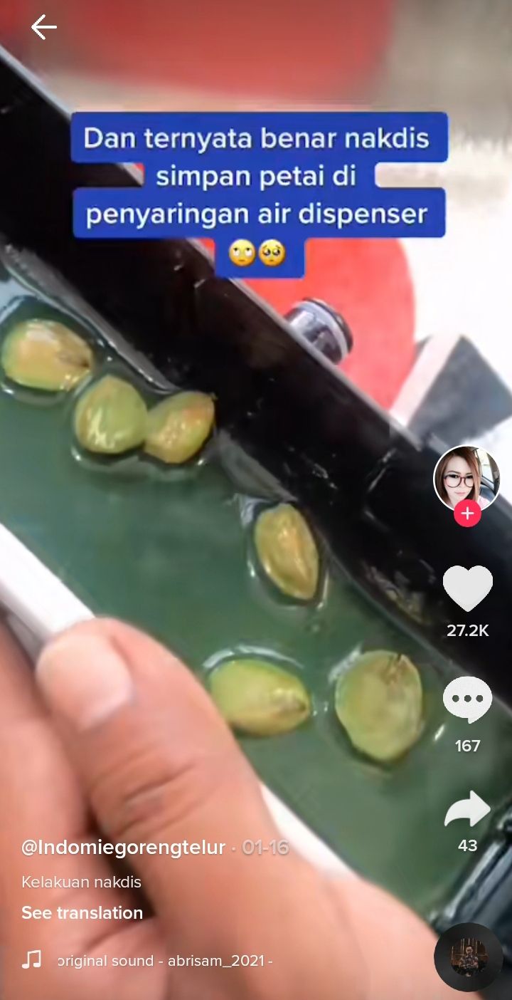 Gegara Usil, Bocah Ini Bikin Rumahnya Bau Petai