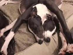 Deretan Foto Keren yang Tak Cukup Dilihat Sekali