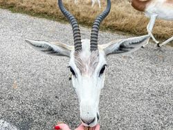 Deretan Foto Keren yang Tak Cukup Dilihat Sekali