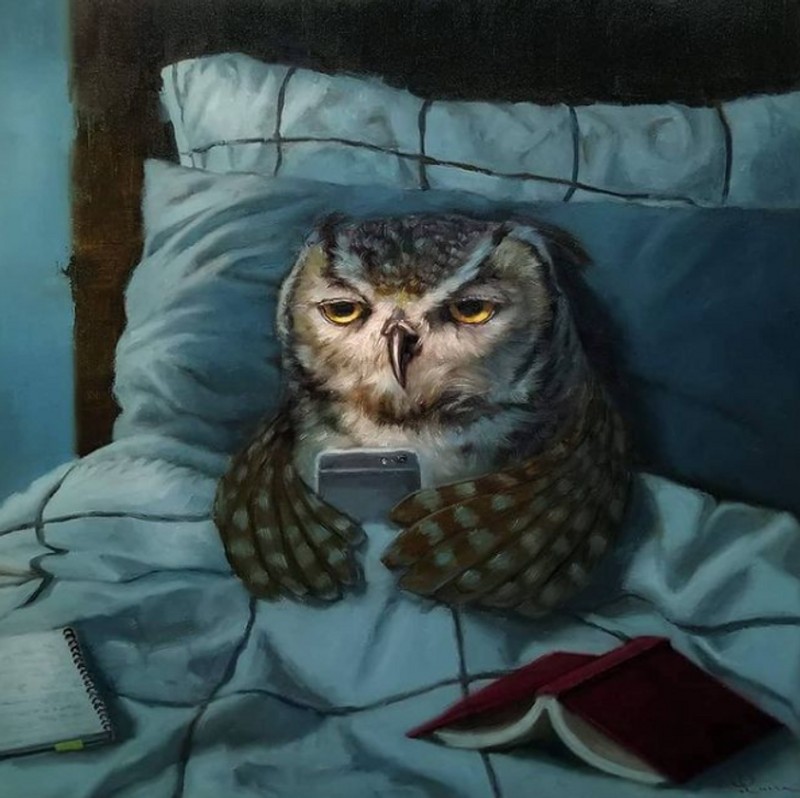 fotoinet KUmpulan Animasi Hewan Lucu Berlagak Seperti Manusia