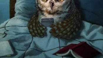 Dengan bantuan photoshop dan alat digitalnya lainnya ia membuat hewan seperti anjing, tikus, hingga ayam bak manusia. Foto: Instagram/luciaheffernan