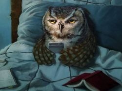 Kumpulan Animasi Hewan Lucu Beraktivitas Seperti Manusia