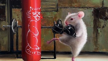 Latihan tinju. Foto: Instagram/luciaheffernan