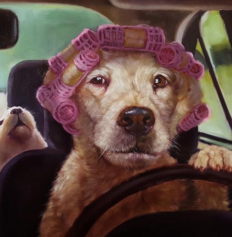 fotoinet KUmpulan Animasi Hewan Lucu Berlagak Seperti Manusia