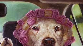 Drama pagi wanita sebelum sampai kantor. Foto: Instagram/luciaheffernan