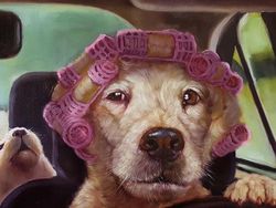 Kumpulan Animasi Hewan Lucu Beraktivitas Seperti Manusia