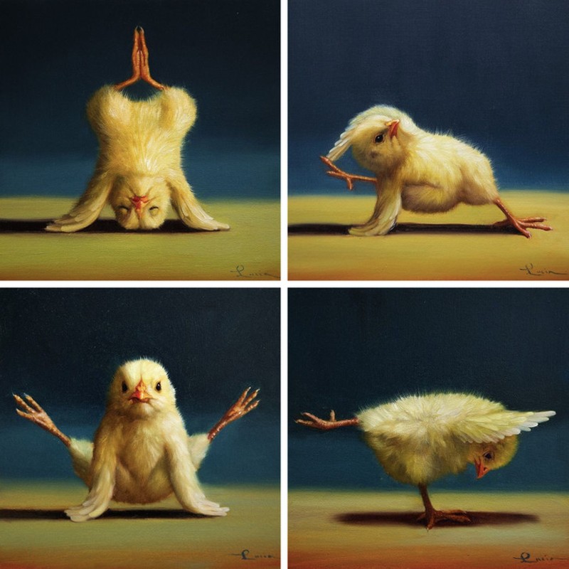 fotoinet KUmpulan Animasi Hewan Lucu Berlagak Seperti Manusia